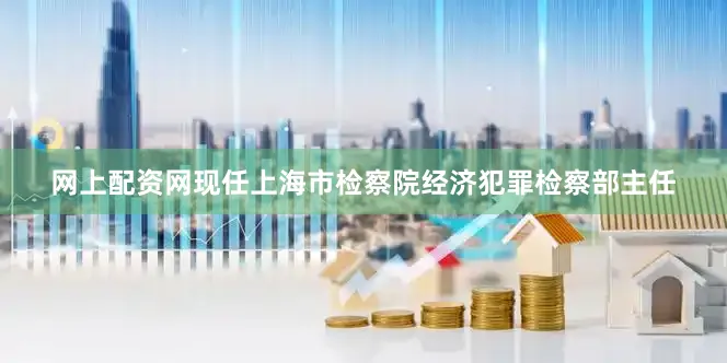 网上配资网现任上海市检察院经济犯罪检察部主任